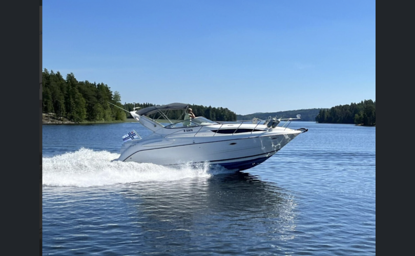 Bayliner 3055 SE-kuva-4